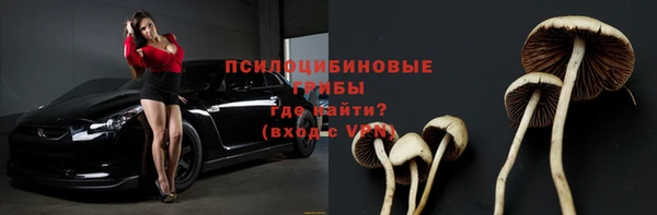 ПСИЛОЦИБИНОВЫЕ ГРИБЫ Пролетарск