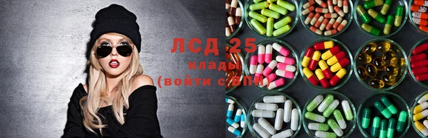 ПСИЛОЦИБИНОВЫЕ ГРИБЫ Пролетарск